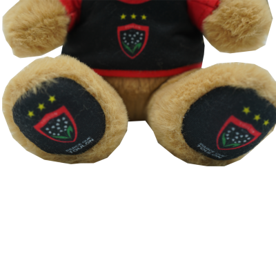 Brown RCT Teddy Bear Plush