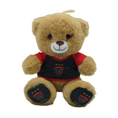 Brown RCT Teddy Bear Plush