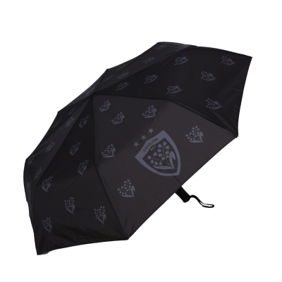 RCT Lily of the valley mini umbrella